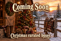 Christmas Curated Boxes
